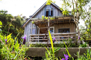 Fern Lodge Coromandel